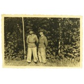 2 солдата Вермахта в тропической форме